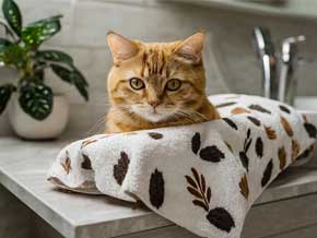 Serviette avec photo