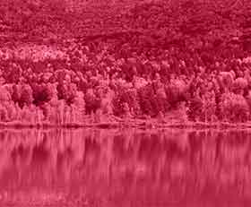 Crédence de cuisine Pantone 2023 Viva Magenta