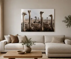 Tableau sur plexiglas Autruche