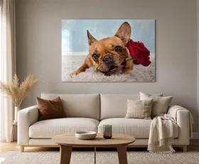 Tableau sur plexiglas Bouledogue Français