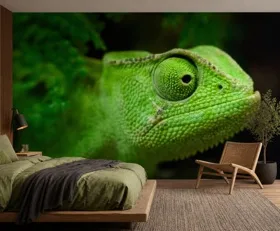 Papier peint photo Caméléon