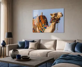 Tableau sur plexiglas Chameau
