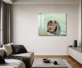 Tableau sur plexiglas Chat