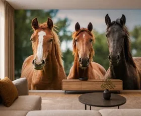 Papier peint photo Cheval