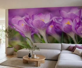 Papier peint photo Crocus
