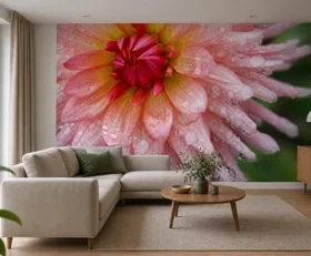 Papier peint photo Dahlia