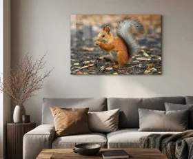 Tableau sur plexiglas Écureuil