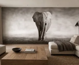Papier peint photo Éléphant