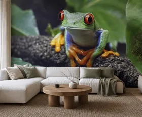 Papier peint photo Grenouille