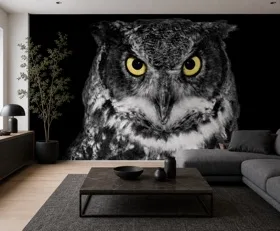 Papier peint photo Hibou