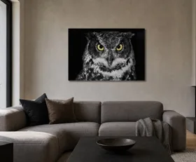 Tableau sur plexiglas Hibou