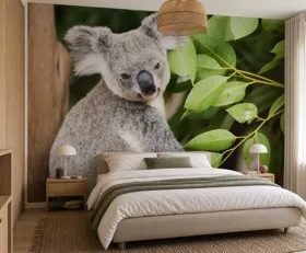 Papier peint photo Koala