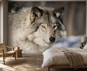 Papier peint photo Loup