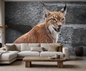 Papier peint photo Lynx