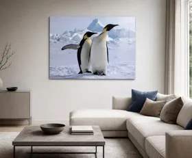 Tableau sur plexiglas Manchots