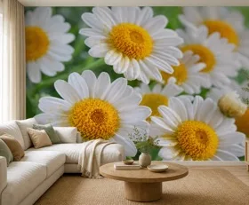 Papier peint photo Marguerites
