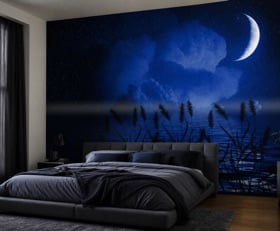 Papier peint photo Nuit