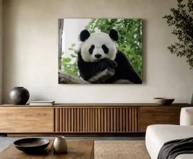 Tableau sur plexiglas Panda