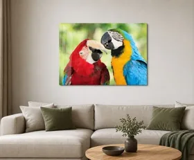 Tableau sur plexiglas Perroquet