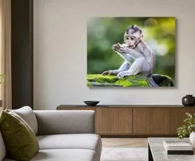Tableau sur plexiglas Singes