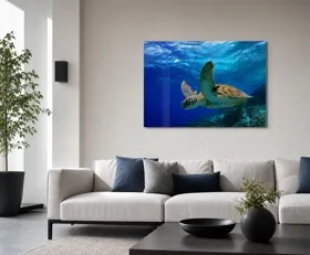 Tableau sur plexiglas Tortue