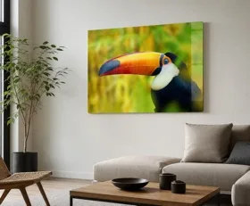 Tableau sur plexiglas Toucan