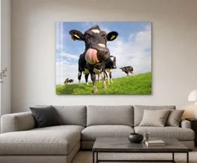 Tableau sur plexiglas Vache