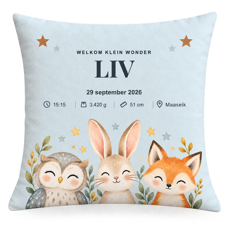 Coussin de naissance