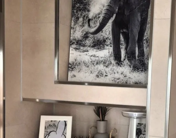 Tableau plexiglas Tableau sur plexiglas Éléphant prenant un bain en noir et blanc — inspiration de clients