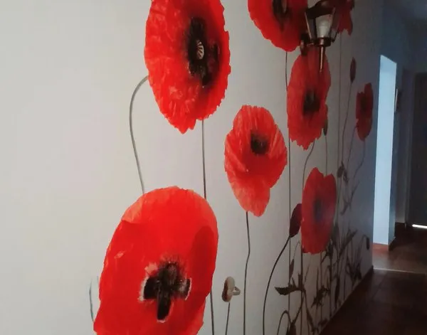 Papier peint photo Papier peint photo Coquelicots rouges sur fond blanc — inspiration de clients