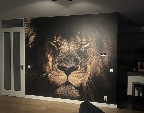 Papier peint photo Papier peint photo Portrait rapproché lion crinière fauve — inspiration de clients