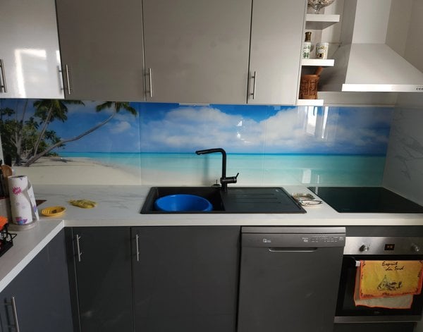 Crédence de cuisine Crédence de cuisine en plexiglas Panorama de plage aux eaux bleues et palmiers — inspiration de clients