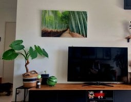 Tableau sur verre Forêt de bambous à Kyoto